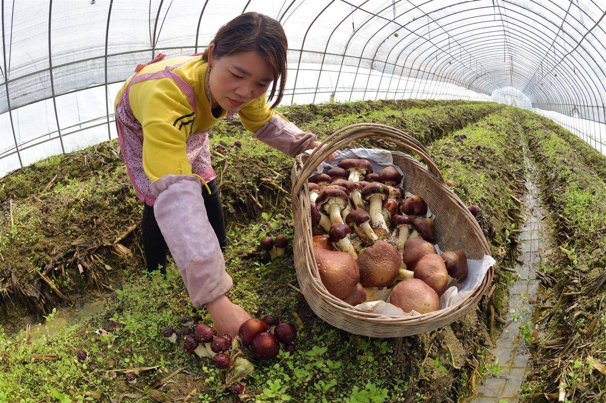博狗游戏平台